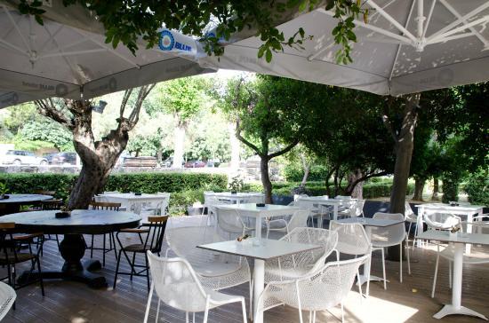 The Mandarin Cafe Bar Restaurant