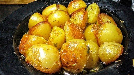 krokodeilos