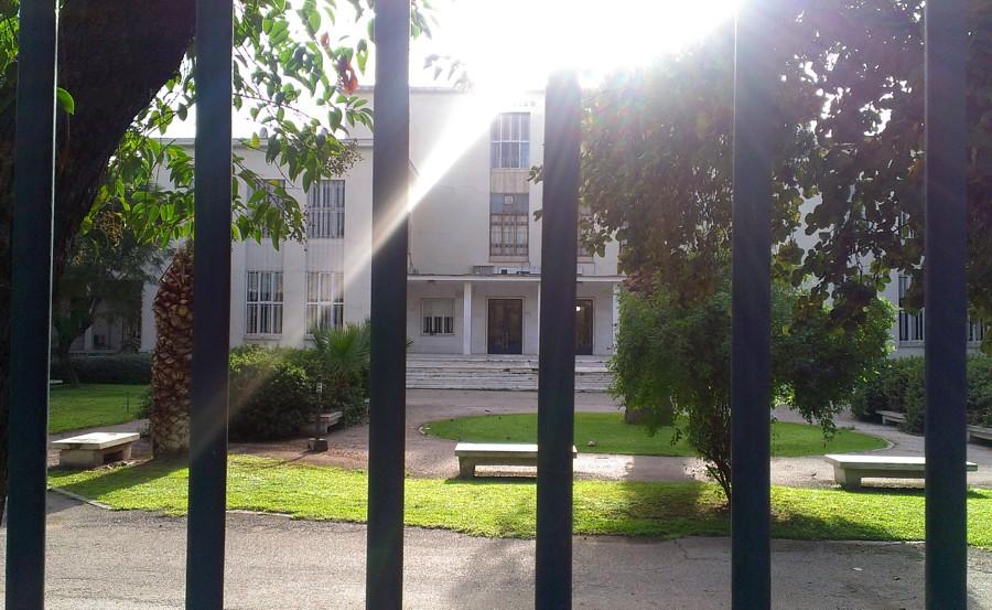 Agricultural University of Athens, Athene