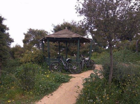 E-Ride, Athene