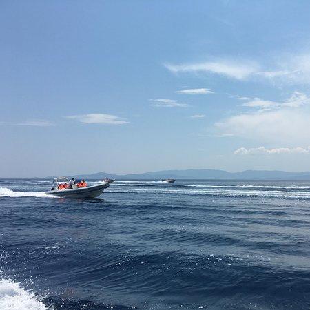 Ribingreece, Athene