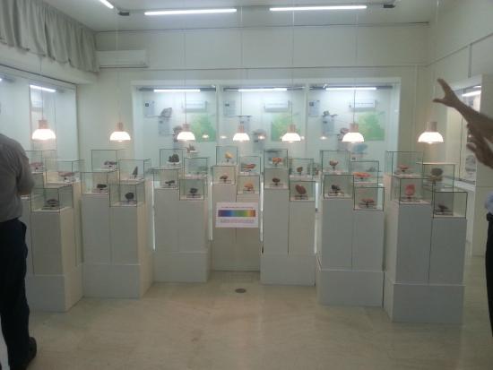 Museum voor Mineralogie en Petrologie, Athene